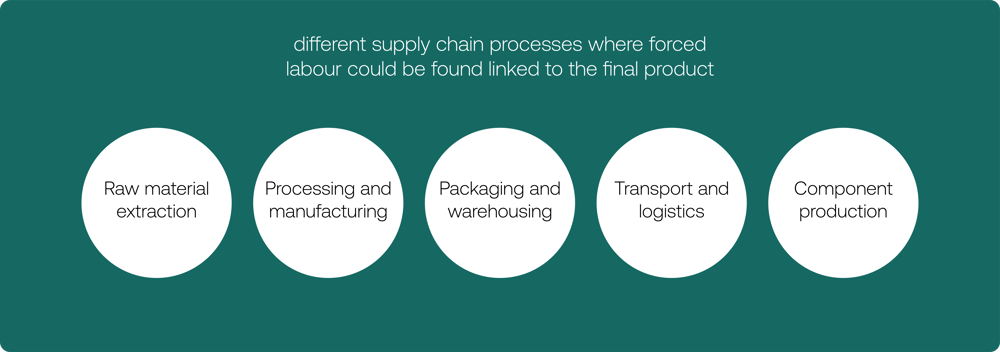 EU FLR investigation