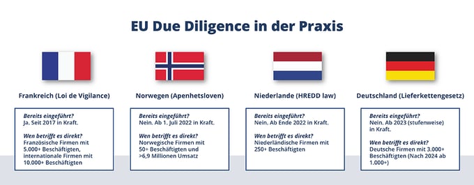 EU-Due-Diligence-Article_GERMAN_1024x400