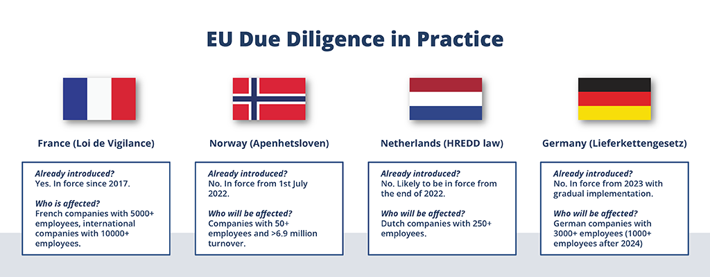 EU Due Diligence Comparison