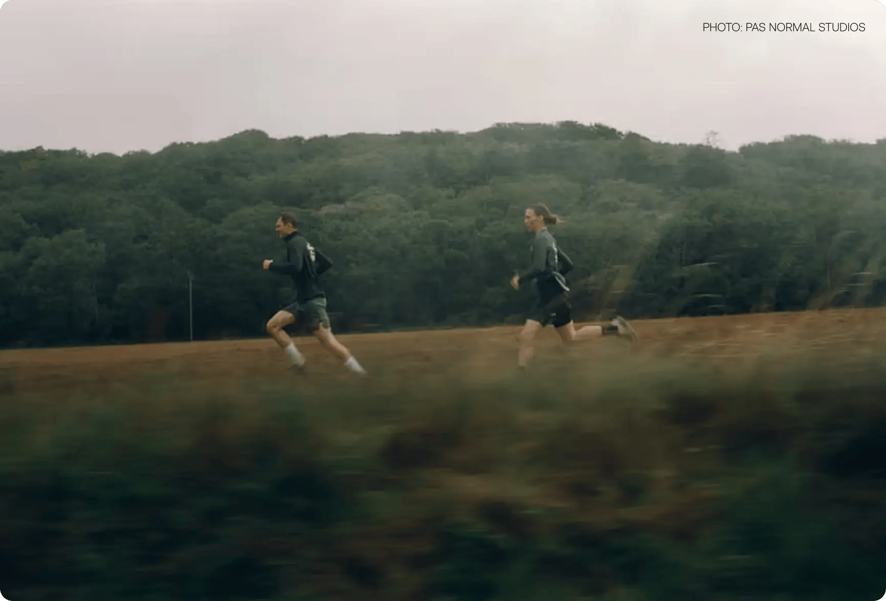 PAS NORMAL STUDIOS - outdoor