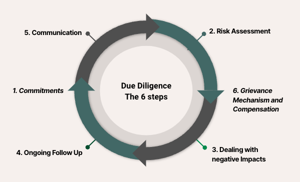 6 Step Due Diligence Process in Fashion