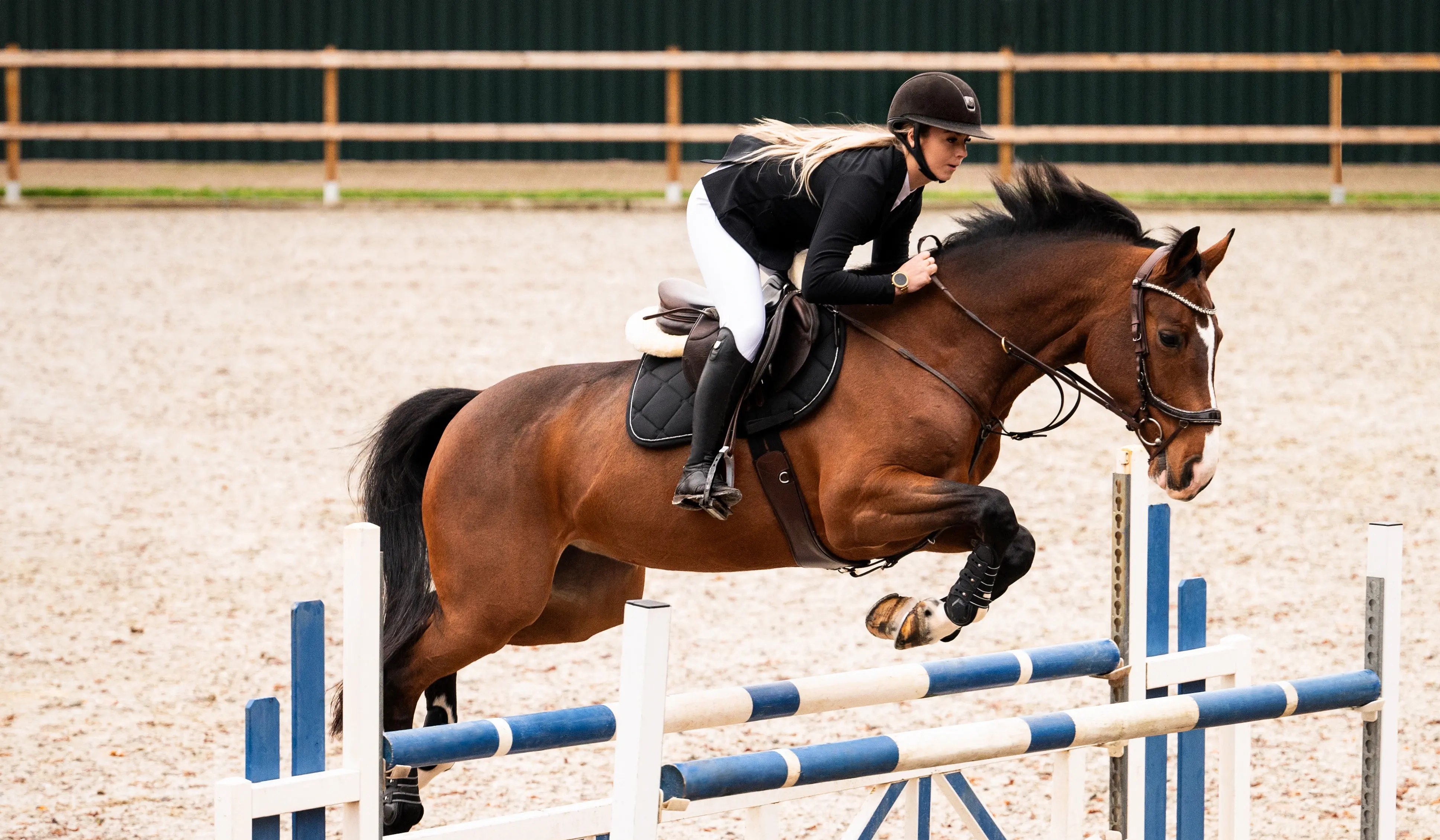 X P101 P202 P203 P601 P602 P708 PerformNow actiefoto 1